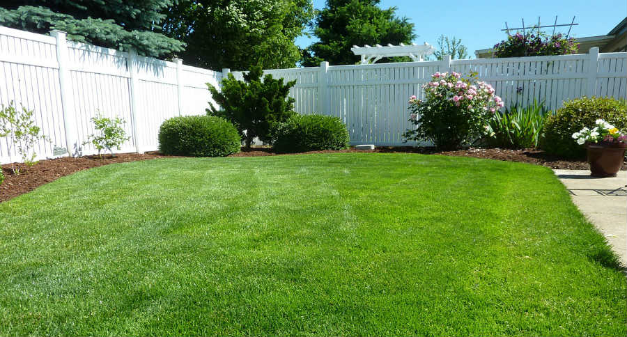 Vinyl Fence