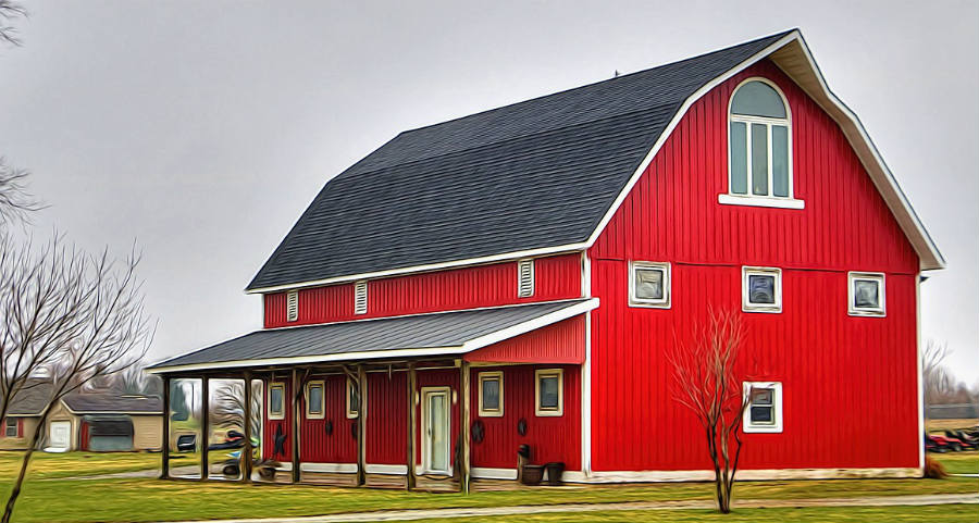 shed building costs